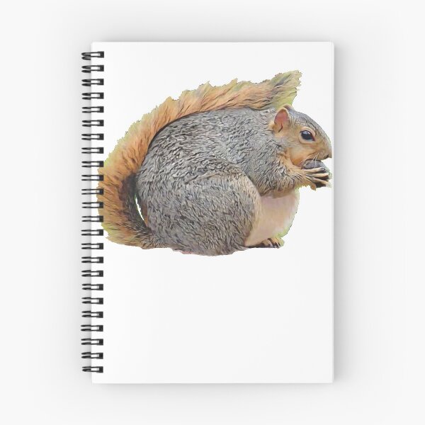 Artikelvorschau, Squirrel Eating Fat Body Rodent Funny Eat Peanut entworfen und verkauft von SlightUser.