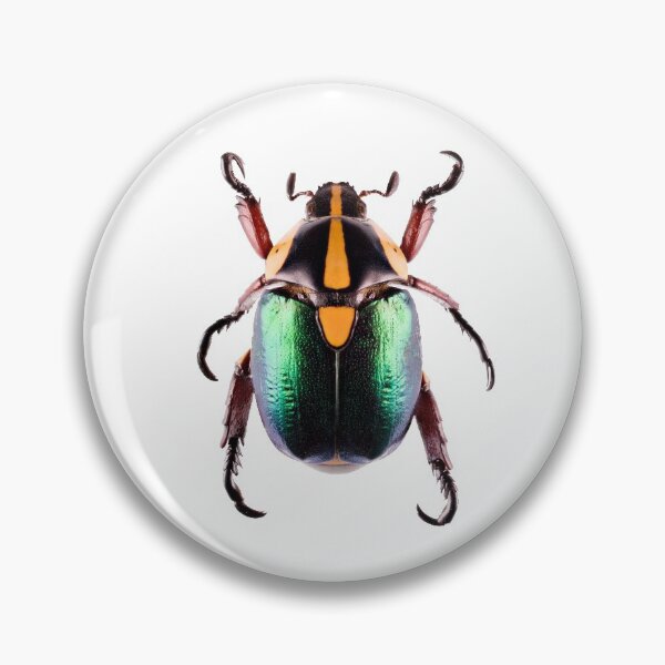 Item preview, Shining Leaf Chafer Beetle (Rutela laeta) designed and sold by Tim Christensen.