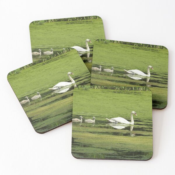 Item preview, Swan and cygnets swimming designed and sold by Gaynor-dI.
