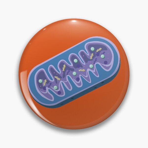 Item preview, Mitochondria designed and sold by ScienceSource.