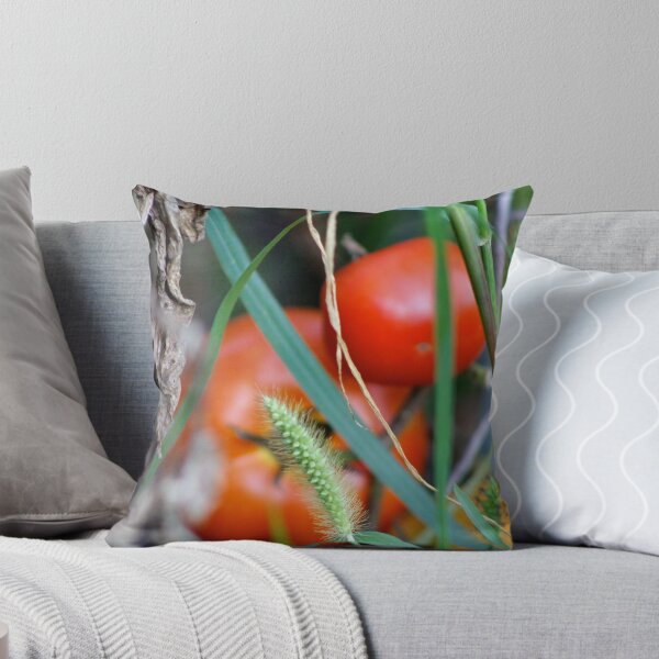 Item preview, Tomato Garden Photograph designed and sold by Pineappledear.