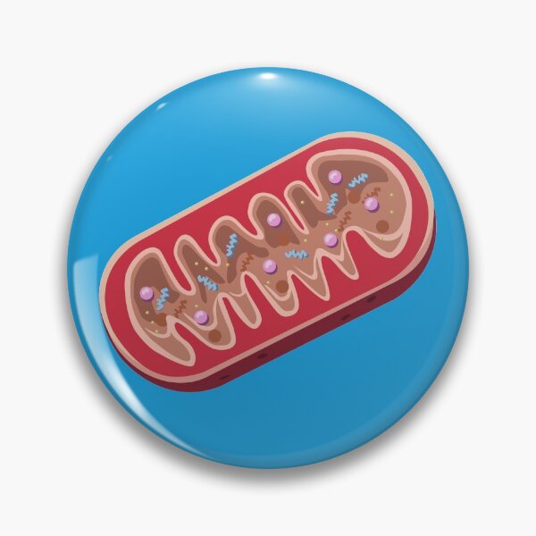 Item preview, Mitochondria designed and sold by ScienceSource.