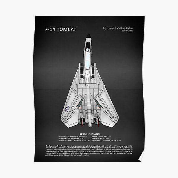 The F-14 Tomcat Poster
