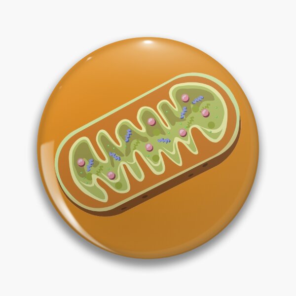 Item preview, Mitochondria designed and sold by ScienceSource.