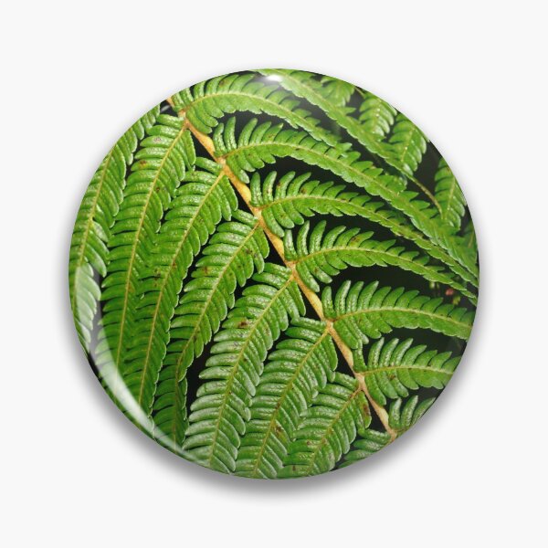 Item preview, Fern leaves designed and sold by Gaspar Avila.