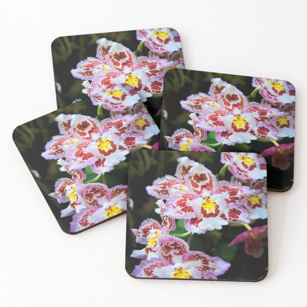Item preview, Orchids are always worth a picture designed and sold by frankuffmann.