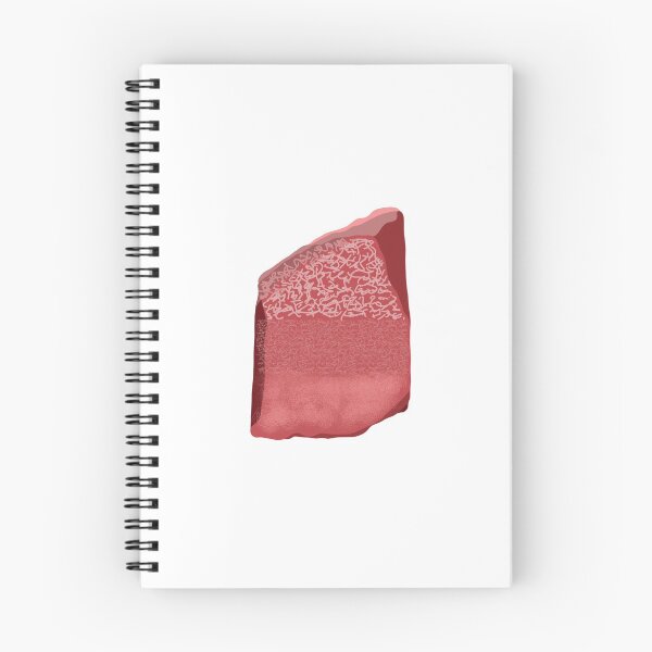 Item preview, Rosetta Stone designed and sold by Dinonuggzz.
