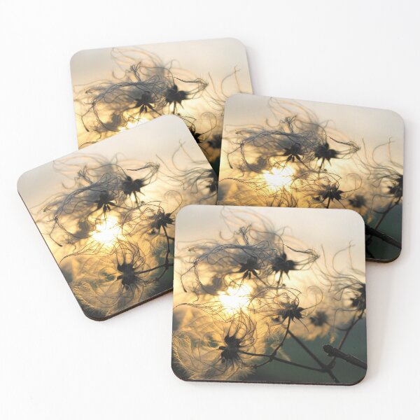 Item preview, Soft designed and sold by hevansphoto98.