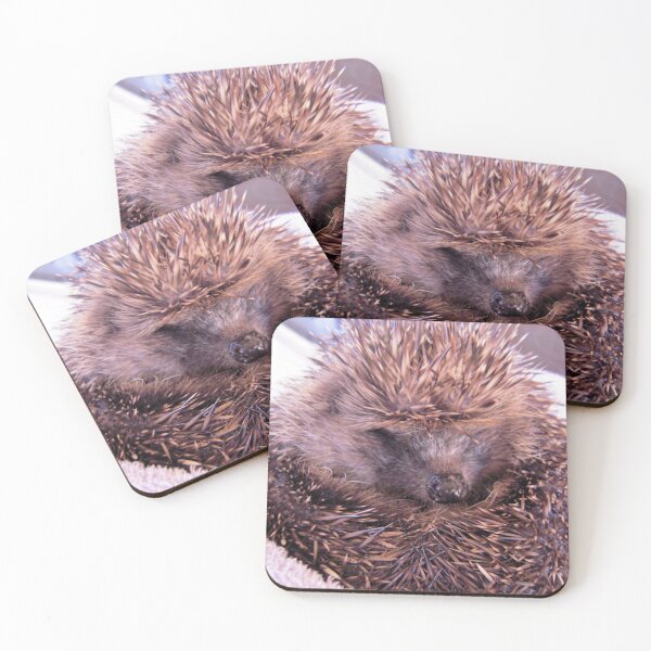 Item preview, Mr Prickles designed and sold by FrancesArt.