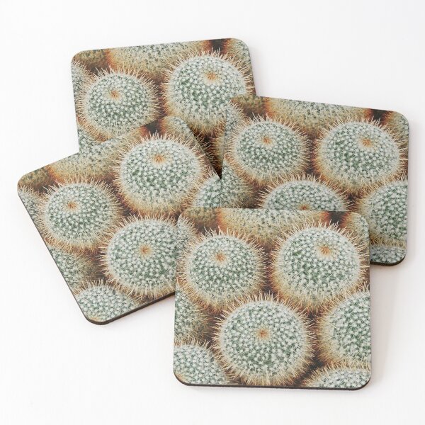 Item preview, Cacti Galore designed and sold by Alexandra Lavizzari.