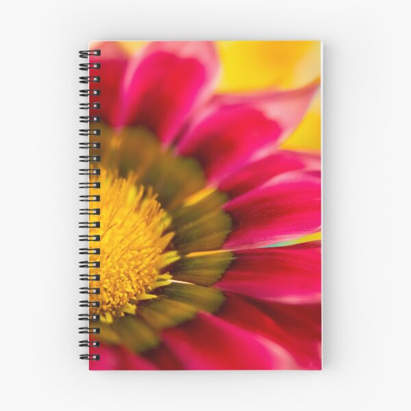 Item preview, Gazania designed and sold by John Velocci.