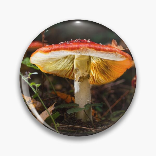 Item preview, Fly agaric mushrooms canterbury designed and sold by rogerstanger.