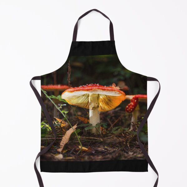 Item preview, Fly agaric mushrooms canterbury designed and sold by rogerstanger.