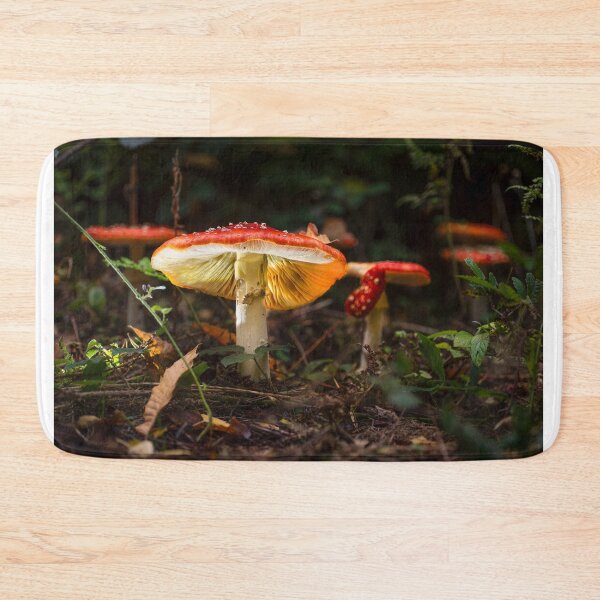 Item preview, Fly agaric mushrooms canterbury designed and sold by rogerstanger.