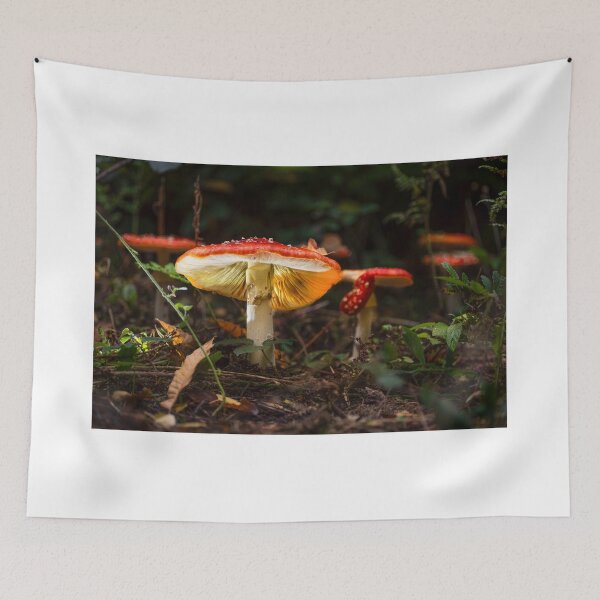 Item preview, Fly agaric mushrooms canterbury designed and sold by rogerstanger.