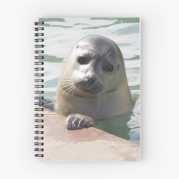 Item preview, Young Seal  designed and sold by FrancesArt.