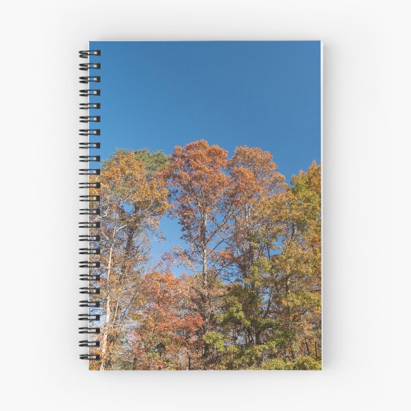 Item preview, Autumn Skyline designed and sold by cmsmith2364.