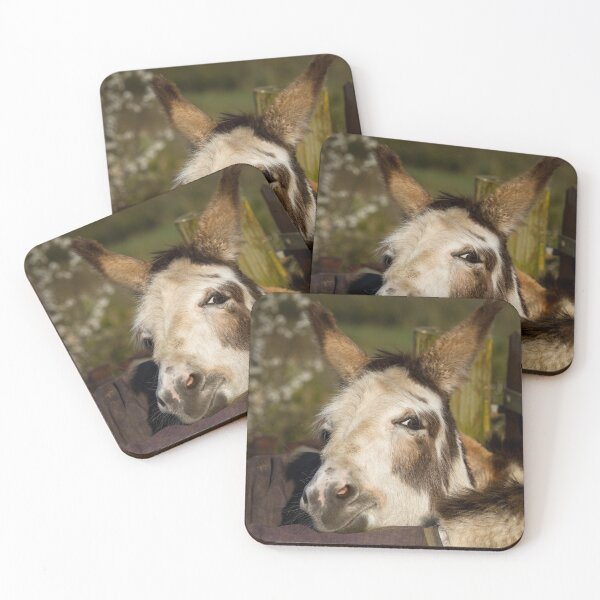 Item preview, Happy Donkey designed and sold by Jane Stanley Photography.