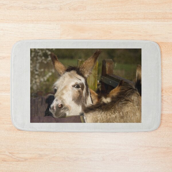Item preview, Happy Donkey designed and sold by Jane Stanley Photography.
