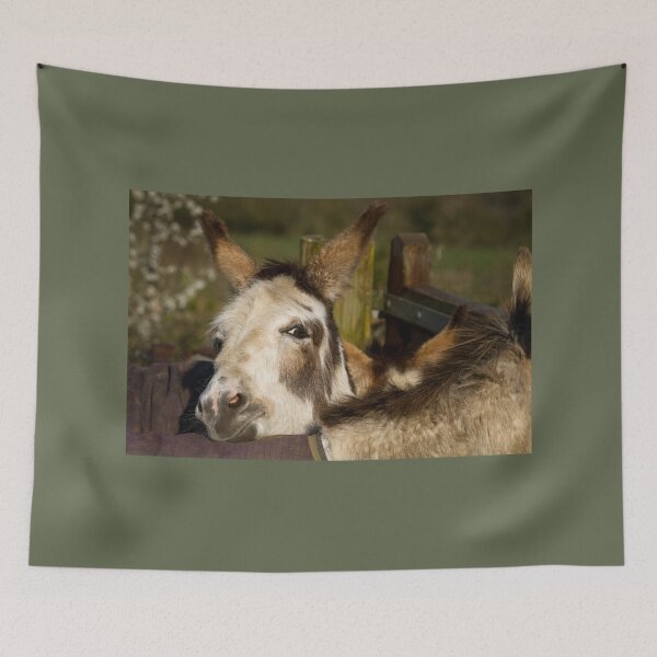 Item preview, Happy Donkey designed and sold by Jane Stanley Photography.