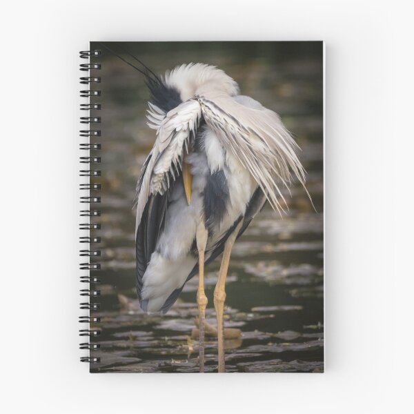 Item preview, Good night! designed and sold by PhotoLux.