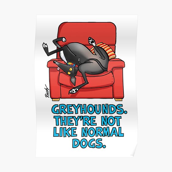 They're not like normal dogs Poster