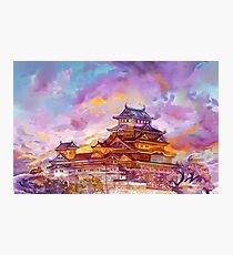Dawn of the Crane Photographic Print