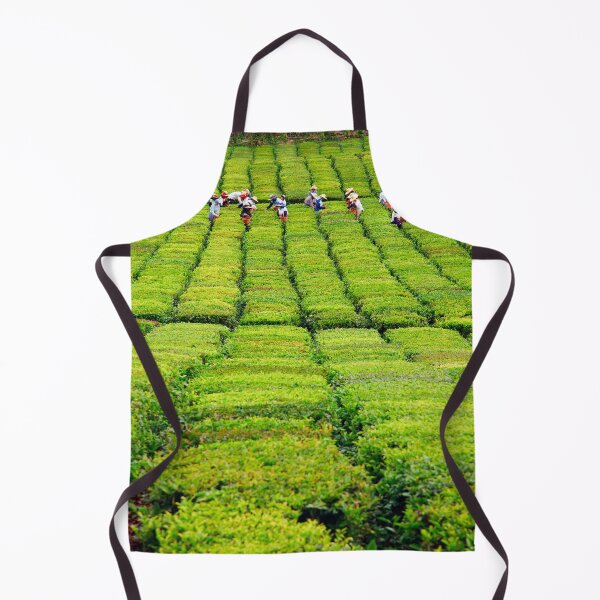 Item preview, Porto Formoso tea gardens designed and sold by Gaspar Avila.