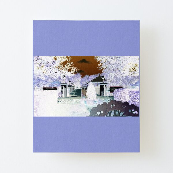 Winter Snow-II Florida WHITE background Canvas Mounted Print