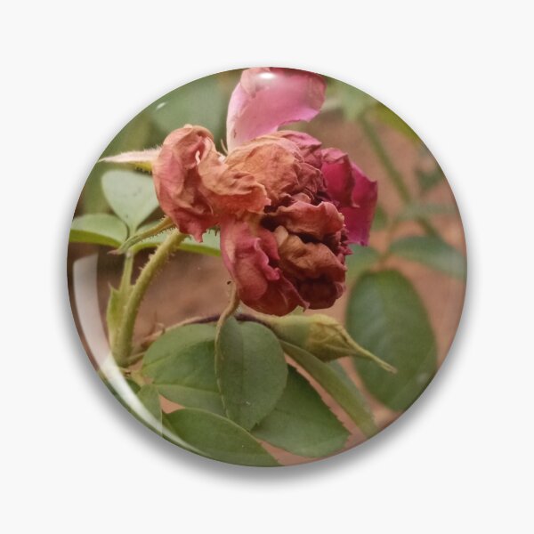 Item preview, Sad Rose designed and sold by LKWDesigns.