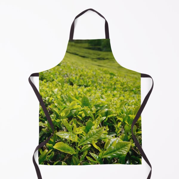 Item preview, Gorreana tea gardens designed and sold by Gaspar Avila.