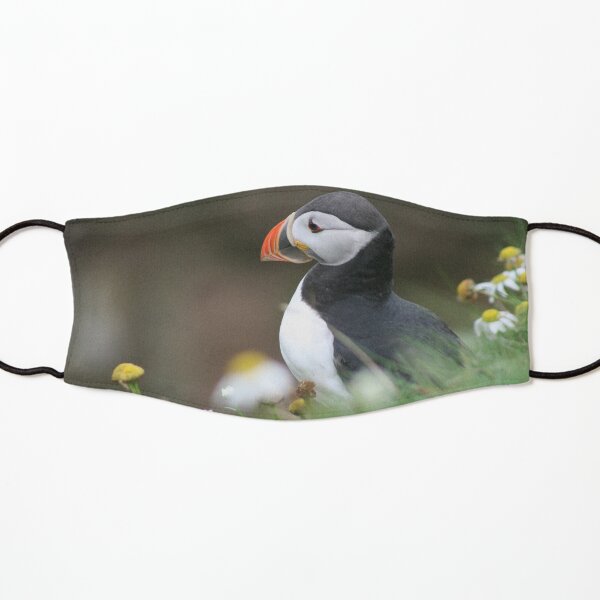 Tammy norie Kids Mask