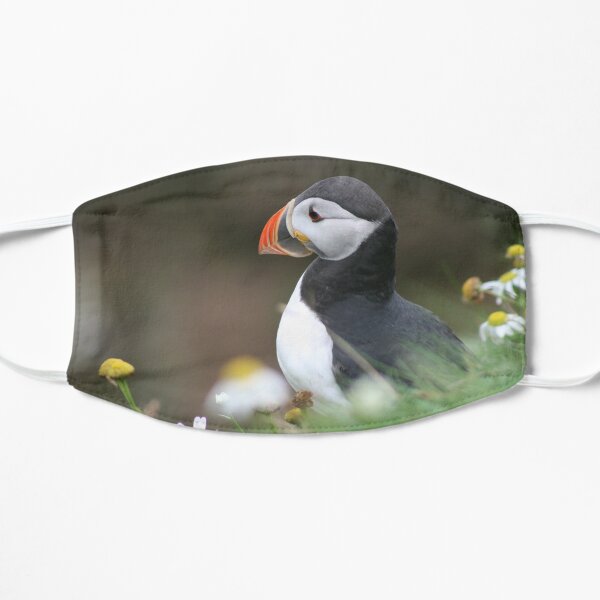 Tammy norie Mask