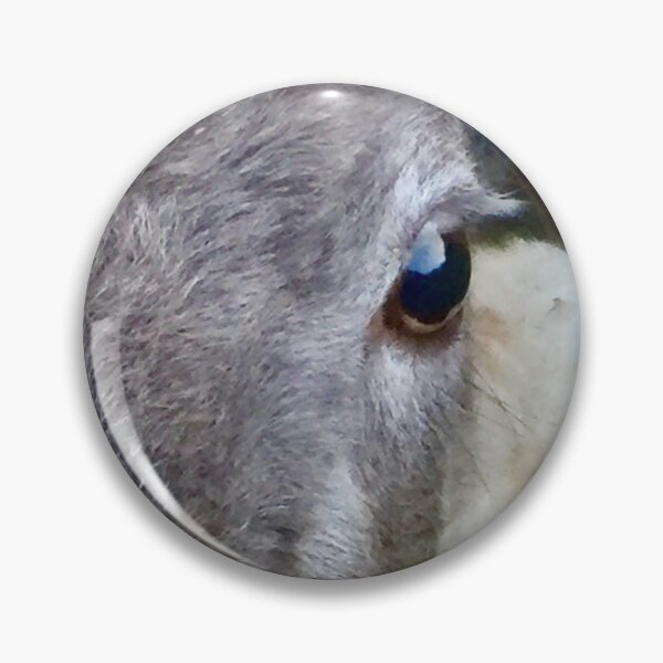 Item preview, “Tuned in Sheep”.     Love Animals. designed and sold by Angela Haig-Harrison.