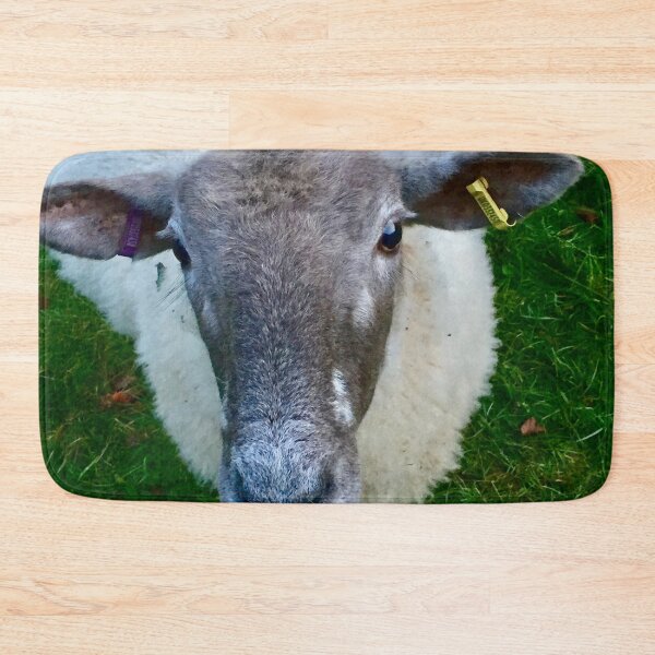 Item preview, “Tuned in Sheep”.     Love Animals. designed and sold by Angela Haig-Harrison.