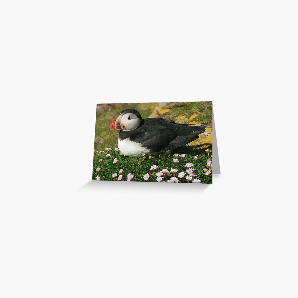 Item preview, Greeting Card designed and sold by orcadia.