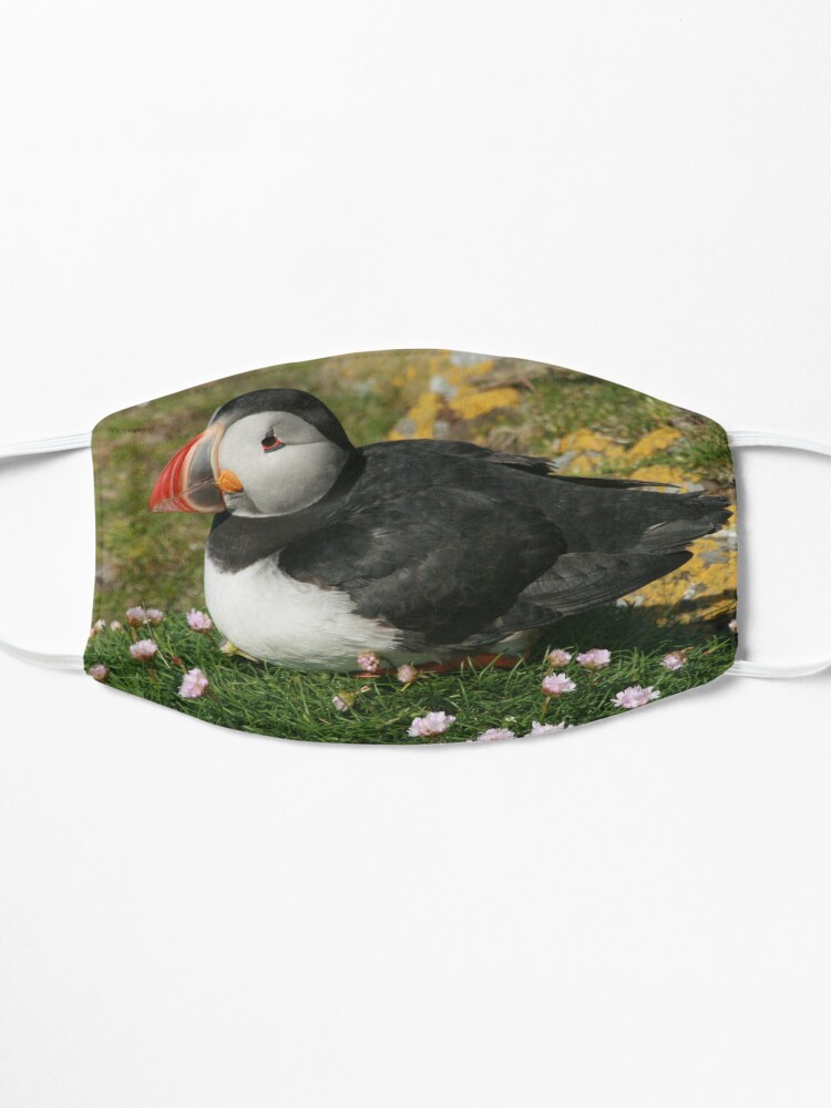 Alternate view of Puffin in the pinks Mask