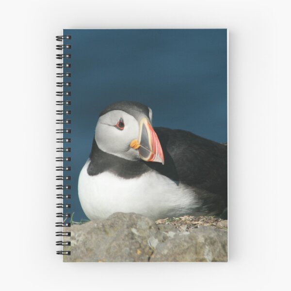 Artikelvorschau,  auf den Treshnish Isles entworfen und verkauft von Fiona MacNab.