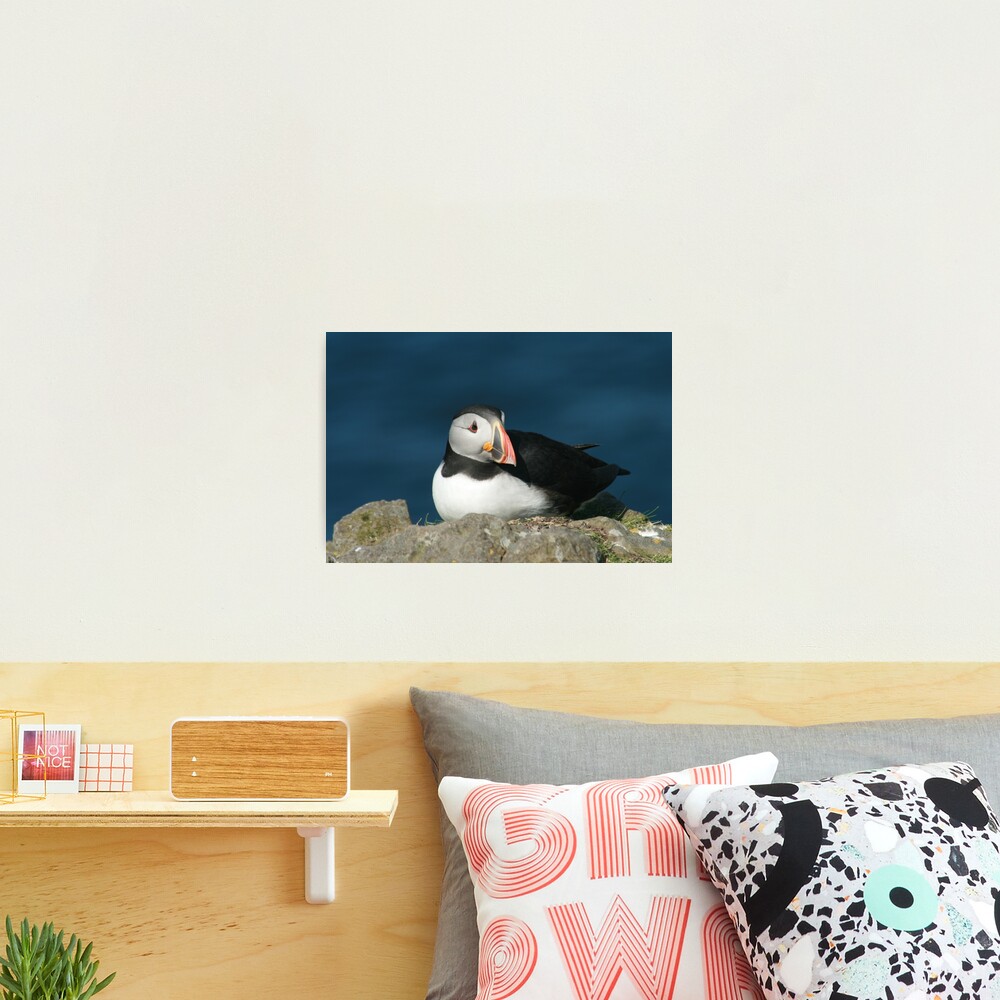 Just resting Photographic Print