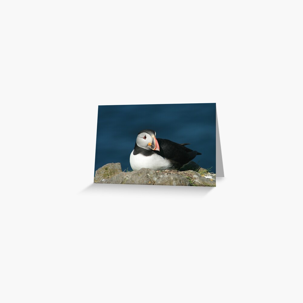 Just resting Greeting Card