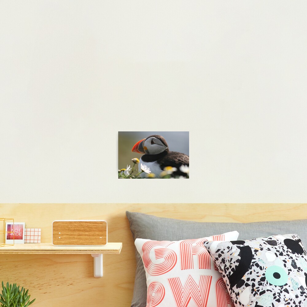 Item preview, Photographic Print designed and sold by orcadia.