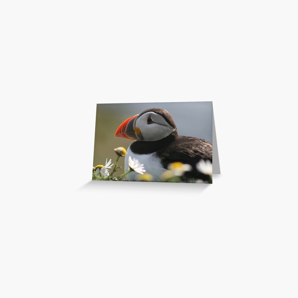 Item preview, Greeting Card designed and sold by orcadia.