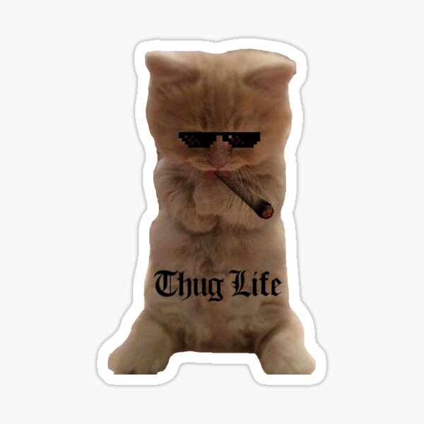 Cat Thug Life Sticker