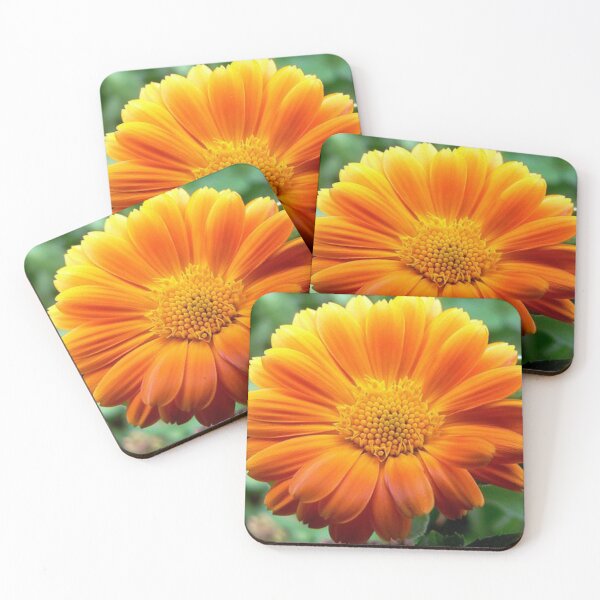 Item preview,  Marigold Floral.  “The Bold Flower” designed and sold by Angela Haig-Harrison.