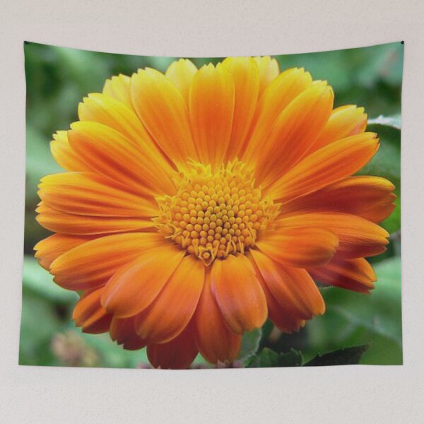 Item preview,  Marigold Floral.  “The Bold Flower” designed and sold by Angela Haig-Harrison.