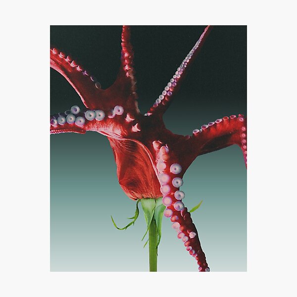 February Photographic Print