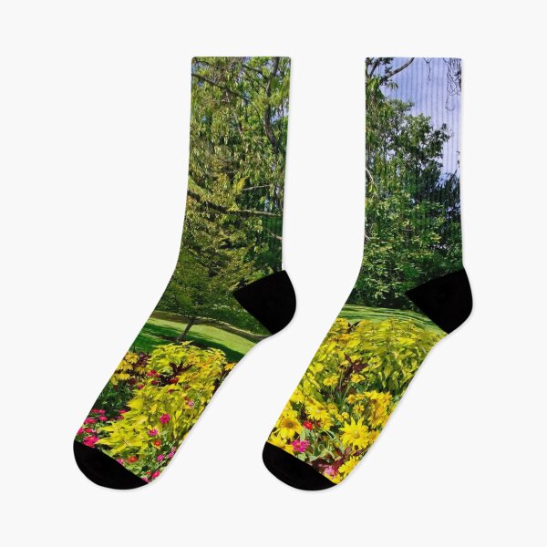 Item preview, In Stanley Park, Vancouver BC September 2011 6 designed and sold by Priscilla Turner.