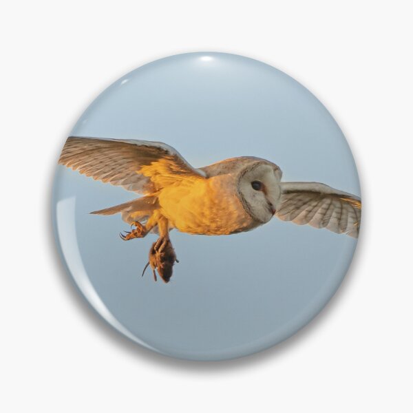 Item preview, barn owl flying with mouse near canterbury designed and sold by rogerstanger.