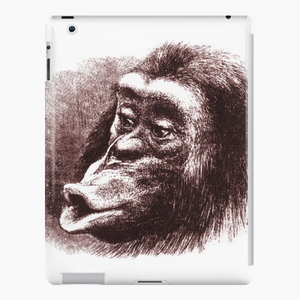 Chimpanzee from Charles Darwin Book iPad Snap Case