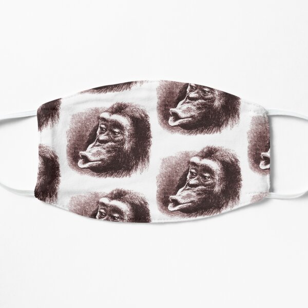 Chimpanzee from Charles Darwin Book Mask